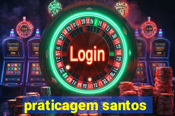 praticagem santos